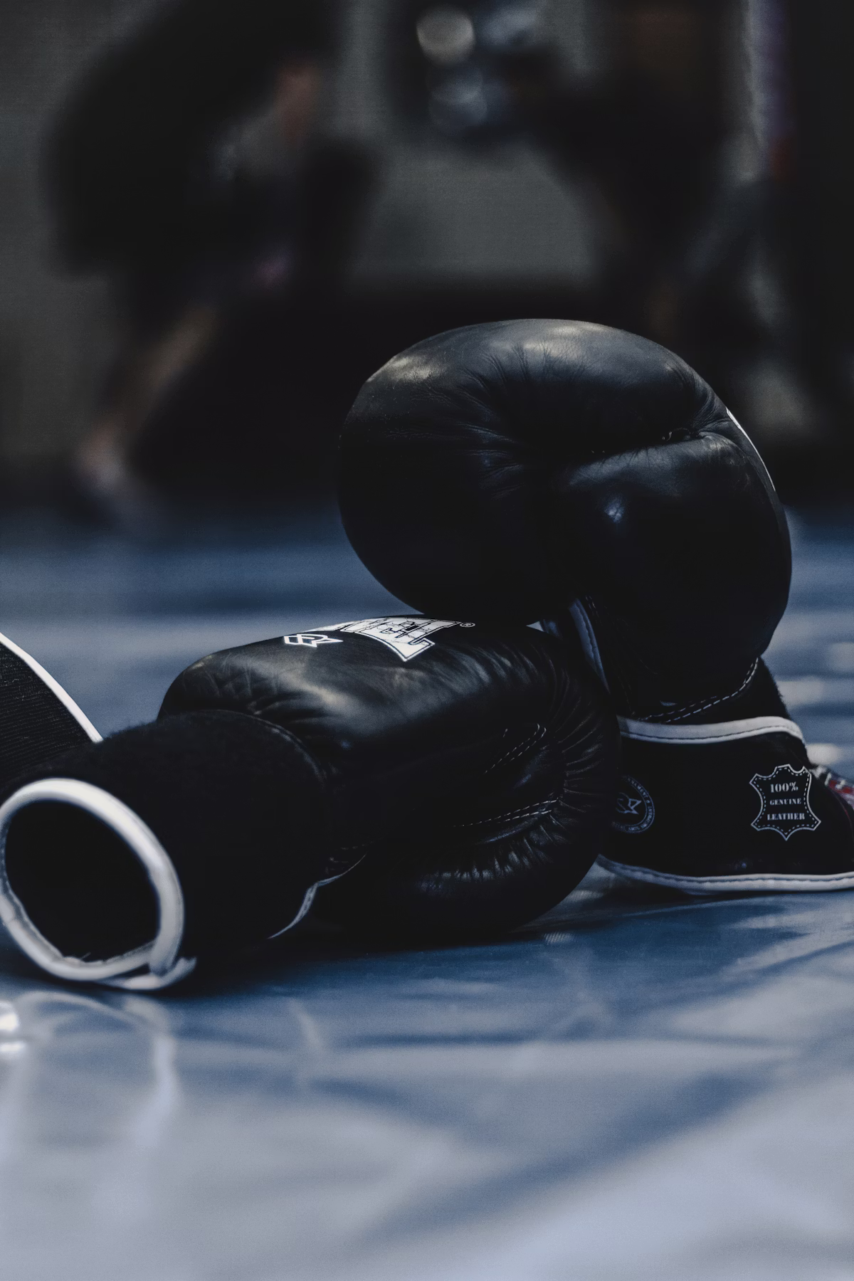 Academia Muay Thai